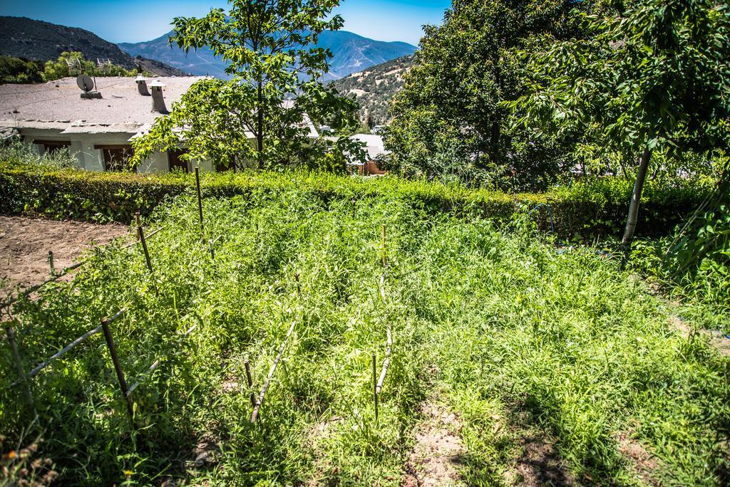 Finca Los Llanos Capileira Bagian luar foto